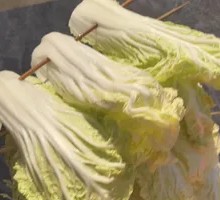 Baby bok choy