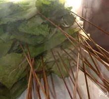 Bok choy
