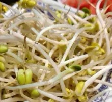 Bean sprouts