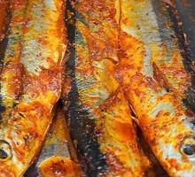 Sardine