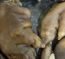 Pork Trotter