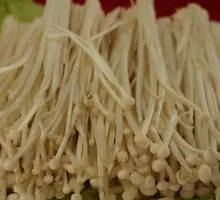 Enoki Mushroom