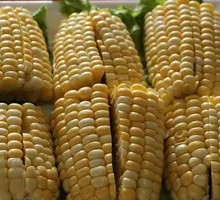 Corn