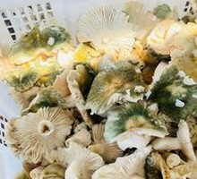 Green-headed Mushroom