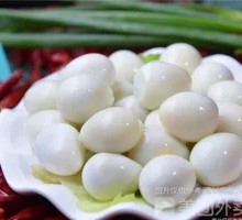 Quail Egg