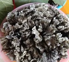 Dry Mushroom