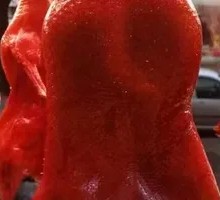 Yiliang Roast Small Duck