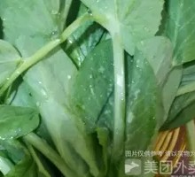 Bean Sprout Greens