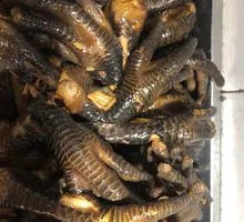 Black Chicken Feet