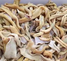 Duck Intestines