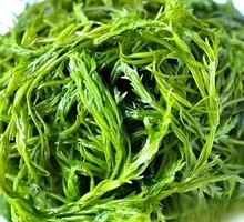 Bamboo Shoot Firecracker