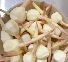 Small Spiny Mushroom