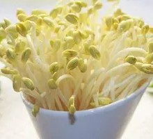 Fresh Soybean Sprouts