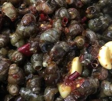 Spicy Little Snails