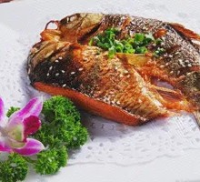 Crucian Carp