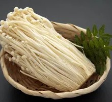 Enoki Mushroom