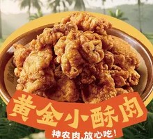 Golden Crispy Pork Strips