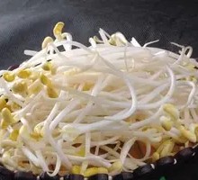 Bean sprouts