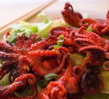 Octopus