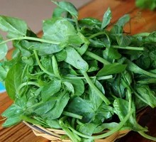 Bean Sprout Greens