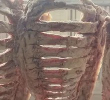 Preserved Pork Rib