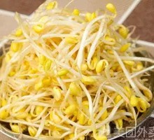 Bean sprouts