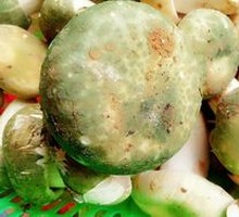 Wild Mushroom Stone Pot Dish