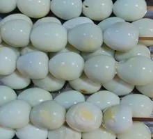 Quail Egg