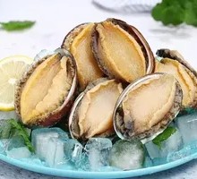 Abalone