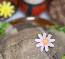 Premium Water Buffalo Tripe