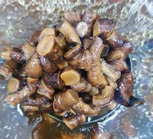 Shiitake Mushroom