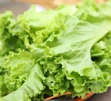 Lettuce