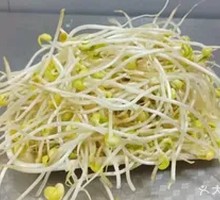 Bean sprouts