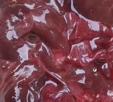 Lamb Liver