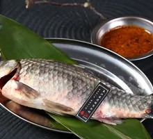 Freshly Caught Crucian Carp