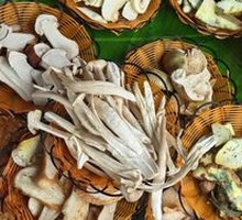 Mixed Wild Mushroom Platter
