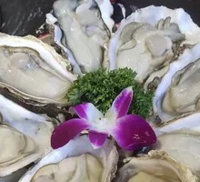 Fresh Open Oyster