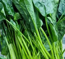 Spinach