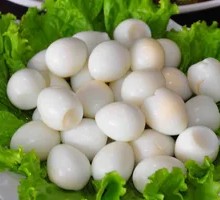 Quail Egg