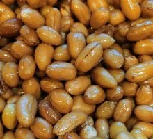 Spicy Braised Peanuts