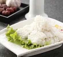 Squid Blossom