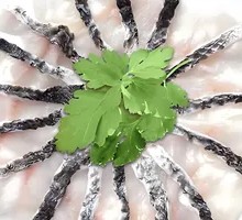 Black fish slices