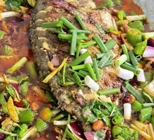 Spicy Grilled Danube Catfish