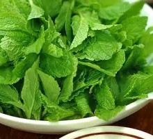 Mint