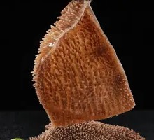 Fresh Tripe