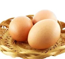 Boiled Egg