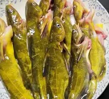 Yellow Croaker