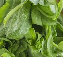 Pea Shoots