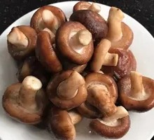 Shiitake Mushroom