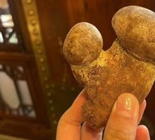 Chuxiong Yellow Milk Cap
